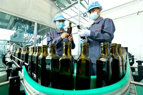 從初加工到精深加工 張掖高臺食用保健油的粵閩商機