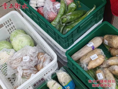 美麗河北 e起過年——故城品牌農(nóng)產(chǎn)品進(jìn)社區(qū)，稱心年貨送上門
