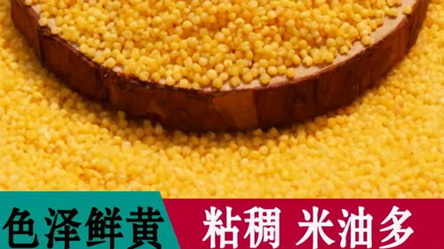 方山縣積翠鄉(xiāng) 消費(fèi)扶貧月綠色農(nóng)產(chǎn)品展銷與網(wǎng)絡(luò)認(rèn)購(gòu)活動(dòng)助力農(nóng)產(chǎn)品初加工升級(jí)