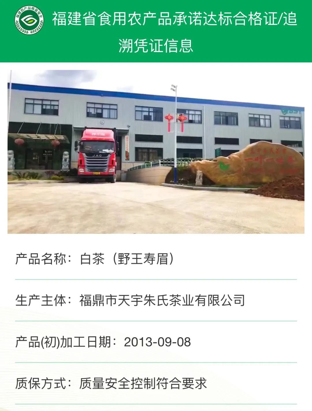 品味白茶入門之道 為何從壽眉喝起與初加工之妙